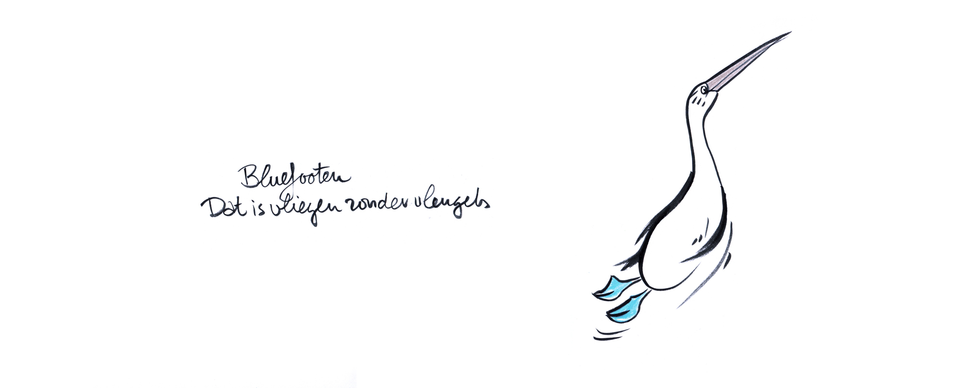 bluefoot_hoofdvisuals1