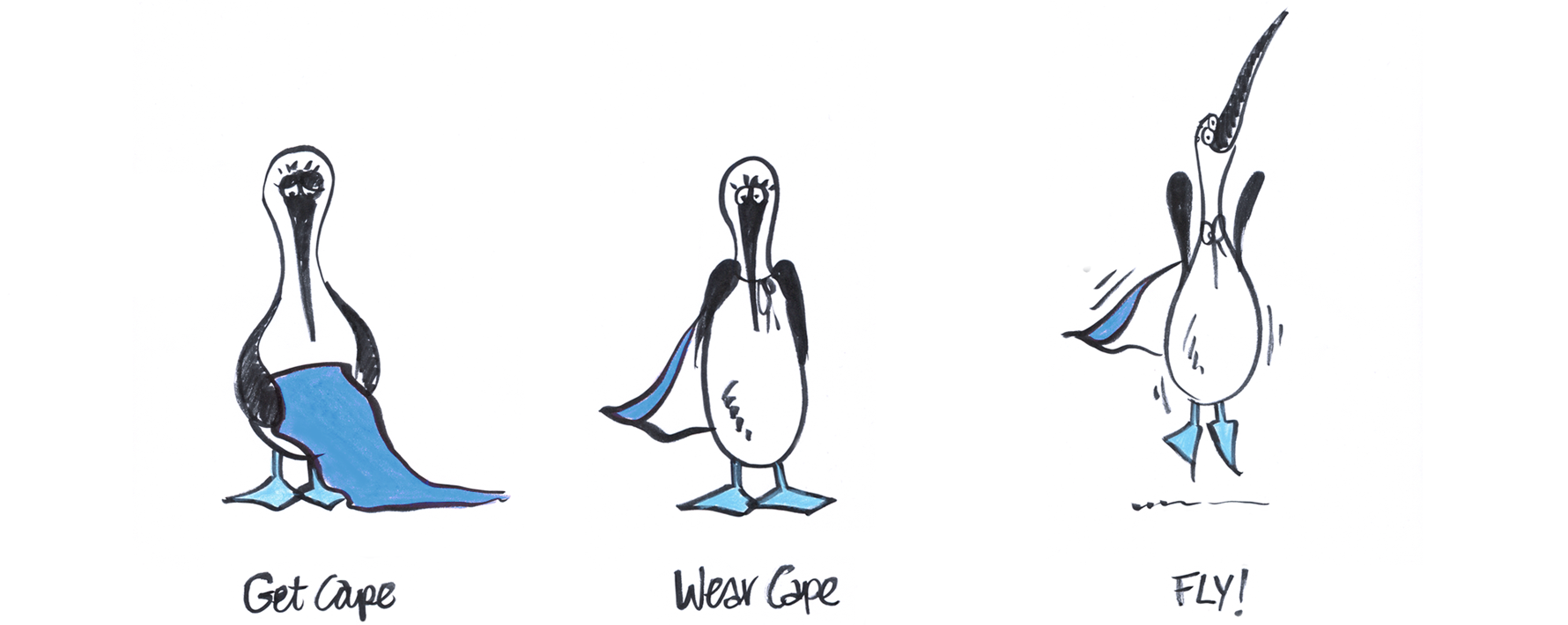 Bluefoot_cape-Wear-fly