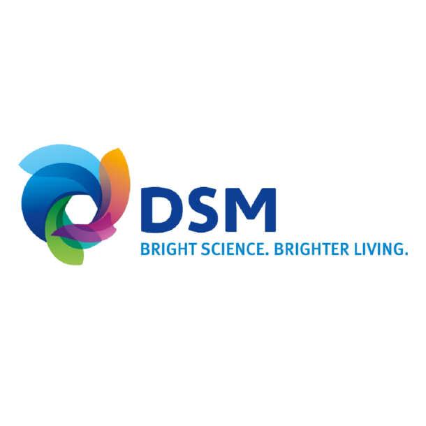 BFF-Logo’s-klanten-DSM